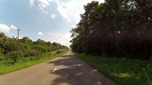 Road amidst trees against sky
