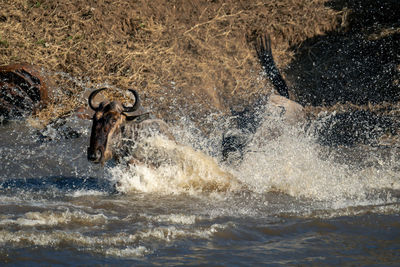 Side view of man splashing water in lake