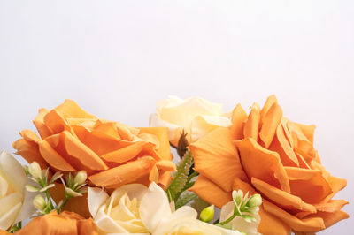 Close-up of rose bouquet against white background