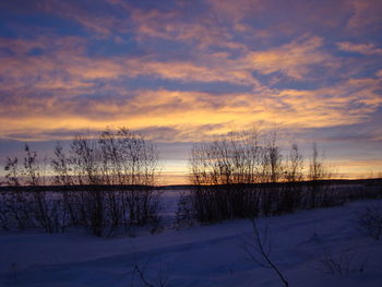 Bare trees by lake against sky during sunset