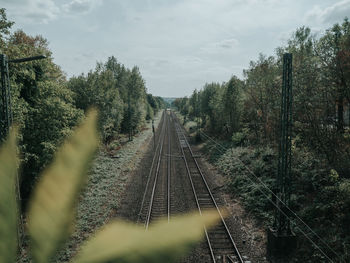 View of railroad track amidst forest