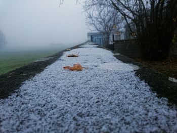 Snow on dirt road during winter