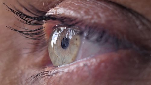Close-up of human eye