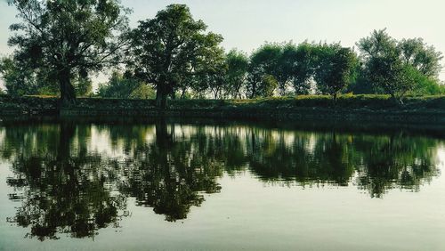 Reflection of trees in lake against sky