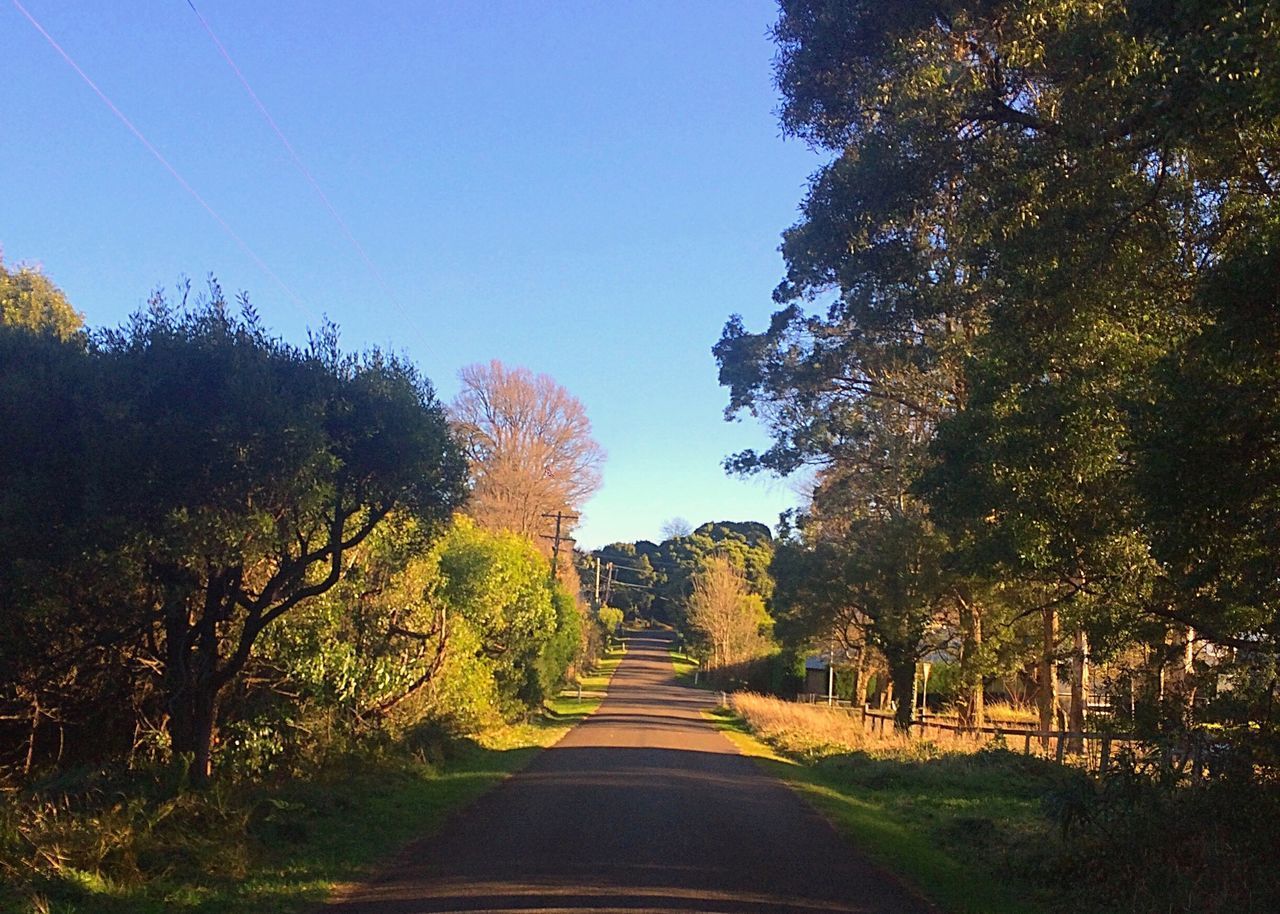 ROAD AMIDST TREES AGAINST SKY