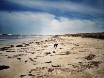 Boy on beach against sky