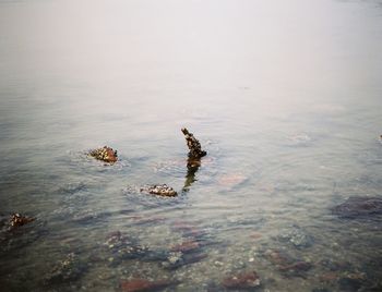 Rocks in lake
