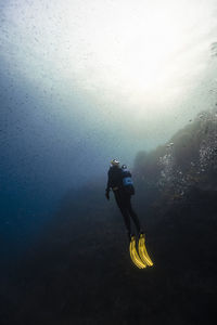 Young woman doing scuba diving undersea