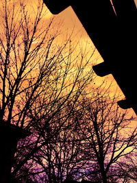 Low angle view of bare tree against sky at sunset