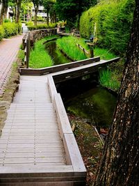 Trees in park