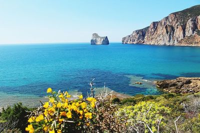 Scenic view of sea against clear blue sky