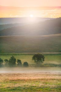 Scenic view of landscape with mist against sky at sunrise