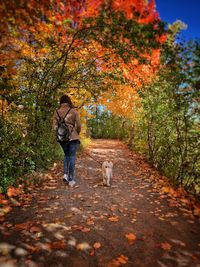 Rear view of woman with dog walking in autumn