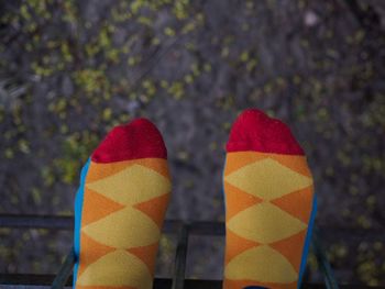 Low section of person standing on multi colored leaves