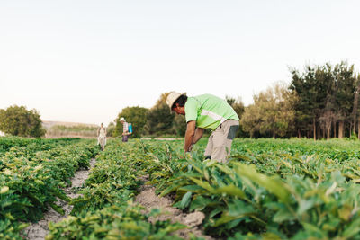 Farmers working at farm