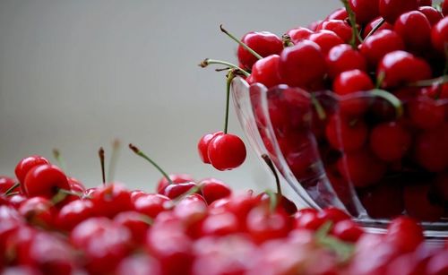 Close-up of red cherries