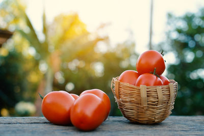 Close-up of tomatoes