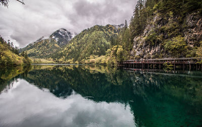 Scenic view of lake by trees against sky