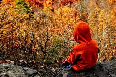 Rear view of man sitting on rock