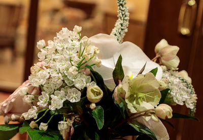 Close-up of white flowers in vase