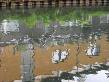 Reflection of trees in water