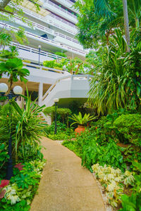 Plants growing outside building