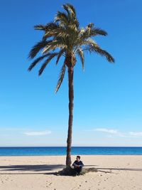 Man sitting by palm tree at beach against blue sky