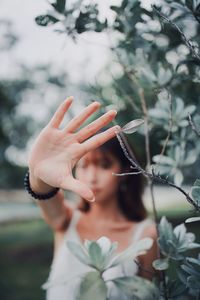 Close-up of woman hand on plant