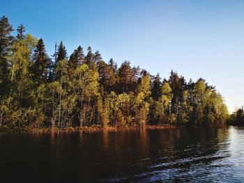 Scenic view of lake in forest against clear sky