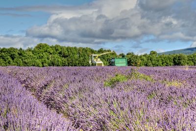 Scenic view of field against cloudy sky