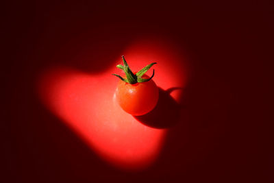 Close-up of red chili peppers over black background