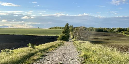 Scenic view of landscape against sky