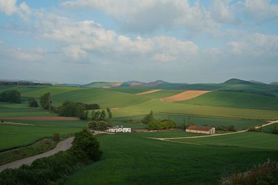 Scenic view of agricultural field against sky