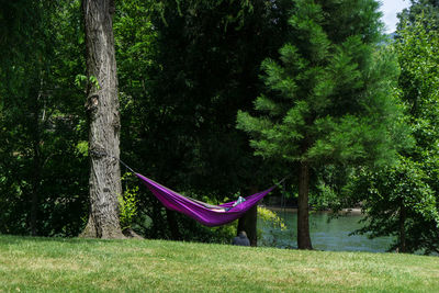 Person relaxing in hammock hanging amidst trees at riverbank