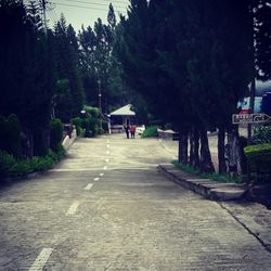 Road amidst trees in city against sky