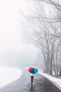 Back view of anonymous person under colorful umbrella walking along road in winter park on snowy day in pyrenees
