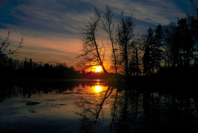 Silhouette of trees at sunset