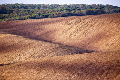 Full frame shot of agricultural landscape