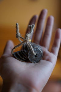 Close-up of insect on hand