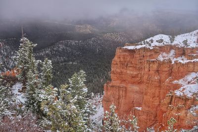 Aerial view of snow covered mountain