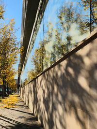 Low angle view of trees against sky