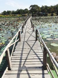 Footbridge over river