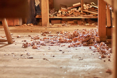 Wooden shavings on floorboard