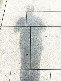 Close-up of shadow on ground