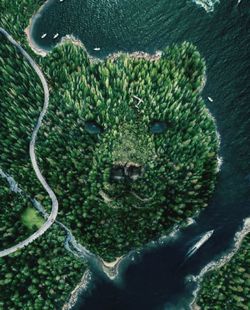 aerial photography
