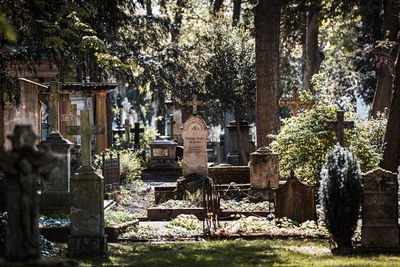 View of cemetery against trees