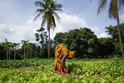 Farmers harvesting vegetables at farm against sky