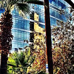 Low angle view of building against blue sky