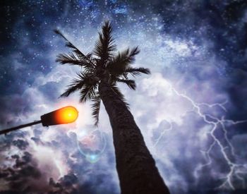 Low angle view of hand holding palm tree