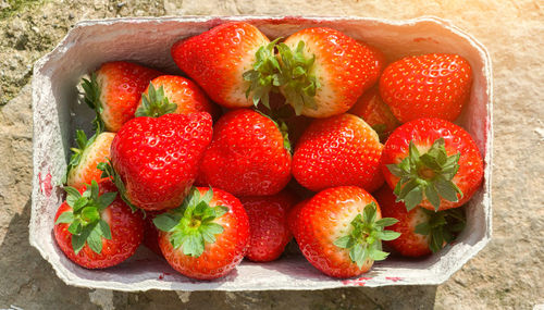 High angle view of strawberries